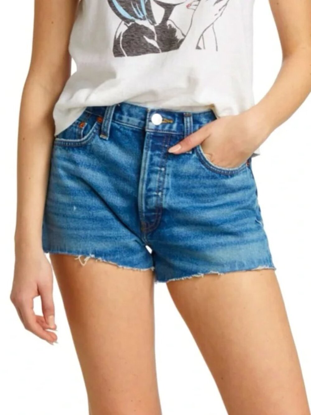 Re/Done 70s High Rise Denim Shorts Arroyo Blue 23